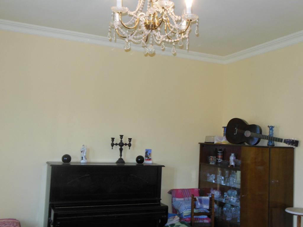 Medico And Suliko Guest House Kutaisi Ruang foto