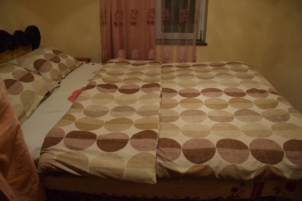 Medico And Suliko Guest House Kutaisi Bagian luar foto